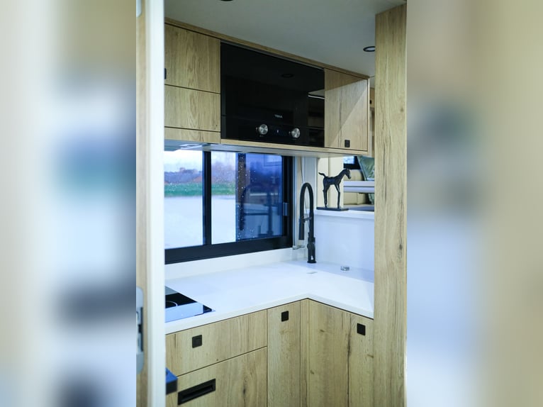 In vendita: Camion Volvo con 5 cavalli, 560 CV, completo di tutte le dotazioni