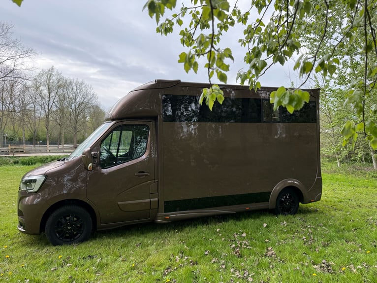 Lusso autocarro per il trasporto di cavalli Renault Master