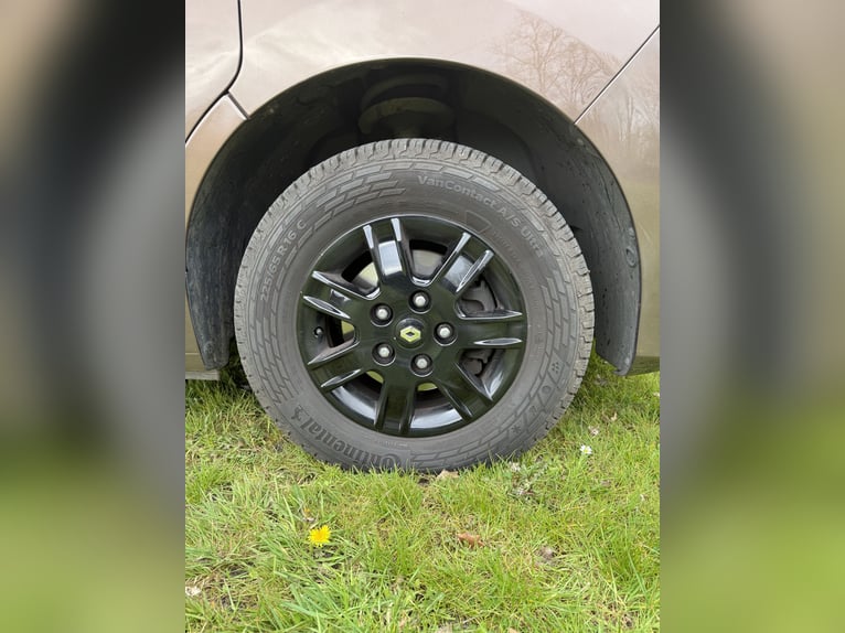 Lusso autocarro per il trasporto di cavalli Renault Master