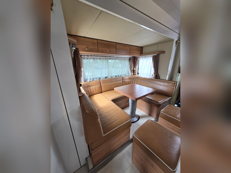 MAN TGM 15.290 4x2 LL – Allestimento AK, prima immatricolazione 2012, Pop Out, per 5 cavalli