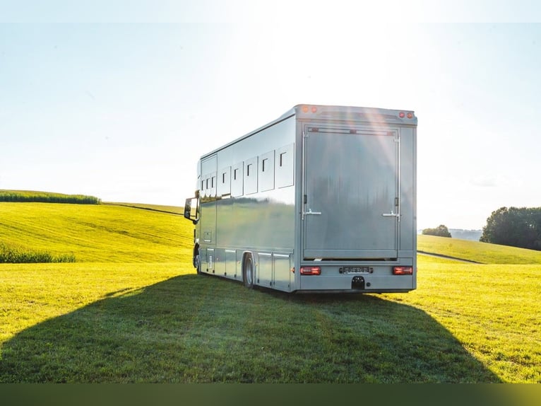 Pferdetransporter Wohnmobil MAN TGM 18.320 Neufahrzeug