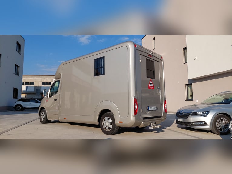 Renault Master 170 CV Euro 6 STX – Trasporto cavalli HARAS