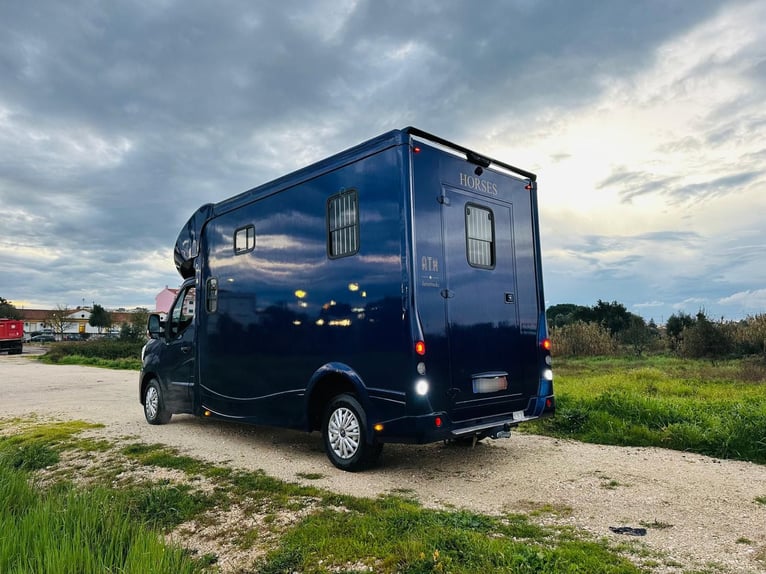 Renault Master ATM Haras – Trasportatore di cavalli PREMIUM