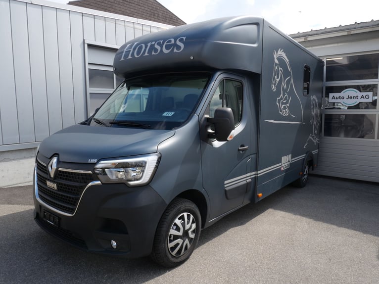 RENAULT Master Automatic MSG Trasporto di cavalli con autista e senza, veicolo per il trasporto di c