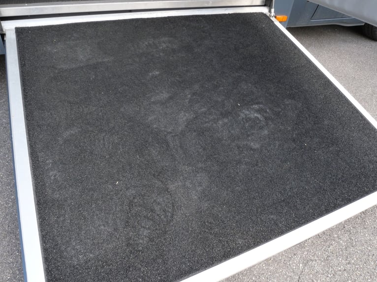 RENAULT Master Automatic MSG Trasporto di cavalli con autista e senza, veicolo per il trasporto di c