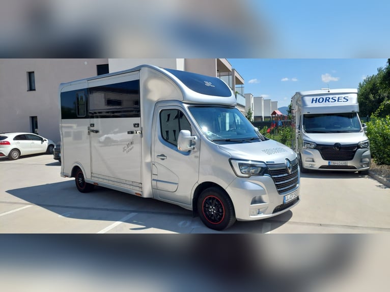 🚚 Renault Master JL Mini | 180 CV Automatico | Trasporto cavalli esclusivo per 1-2 cavalli | HARAS-