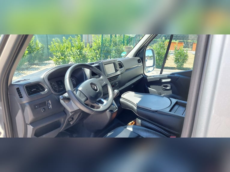 🚚 Renault Master JL Mini | 180 CV Automatico | Trasporto cavalli esclusivo per 1-2 cavalli | HARAS-