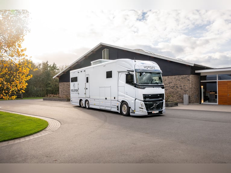 Roelofsen RR6 XL Profiliner Trasporto per cavalli, furgone per cavalli Horsetruck con sistema Pop-Ou