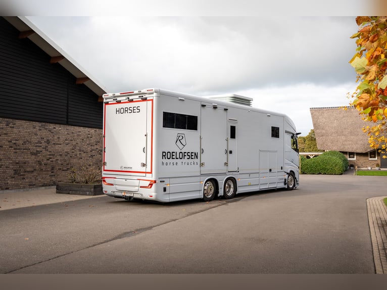 Roelofsen RR6 XL Profiliner Trasporto per cavalli, furgone per cavalli Horsetruck con sistema Pop-Ou