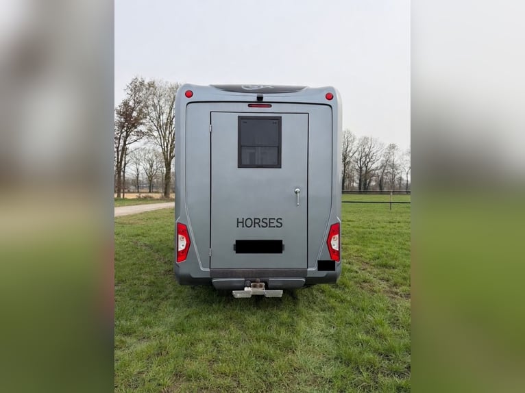 STX Opel Movano di lusso | 5 posti e ottimo camper | Interni in pelle | 3,5 t (categoria B)