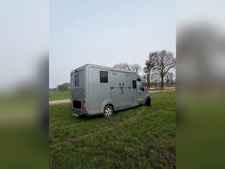 STX Opel Movano di lusso | 5 posti e ottimo camper | Interni in pelle | 3,5 t (categoria B)