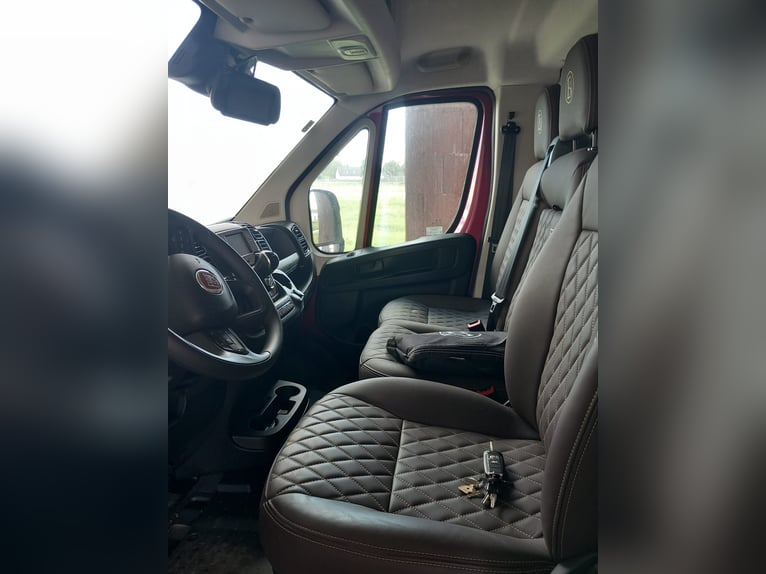 Trasporto per 2 cavalli Bloomfield da 5 tonnellate con alloggio