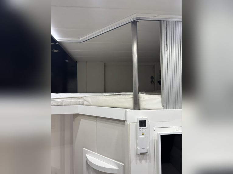 Volvo FM 500 AKX camion per trasporto di cavalli, 8 posti, con cabina abitativa - horse truck