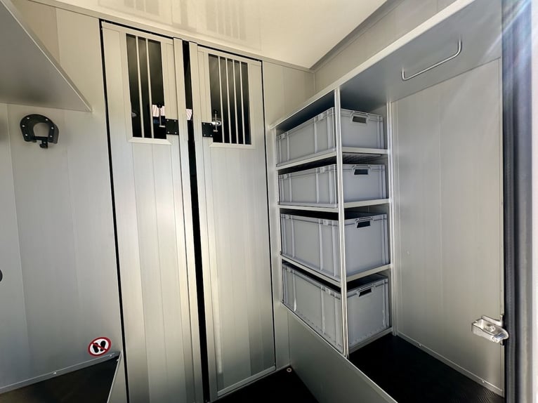 MAN Roelofsen Parados Sport XL 2-Posti Trasportatore per Cavalli, Autocarro Automatico, Nuovo