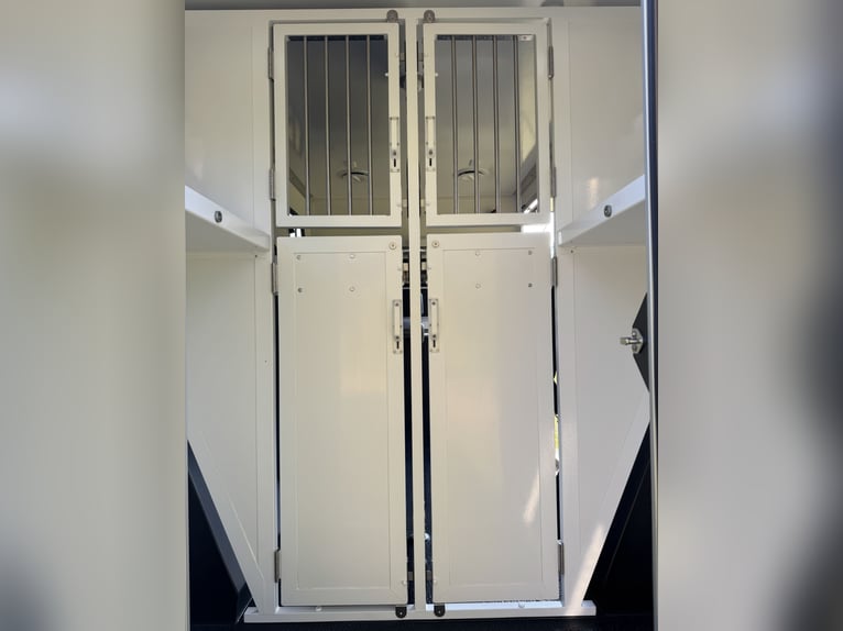 MAN TGE/PRENTKI 2025