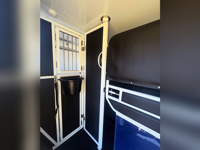 MAN TGE/PRENTKI 2025