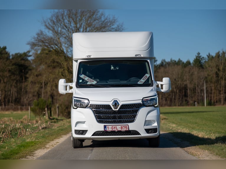 Nuovo autotreno Renault Master ultra-leggero per 2 cavalli