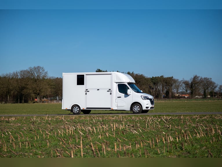 Nuovo autotreno Renault Master ultra-leggero per 2 cavalli