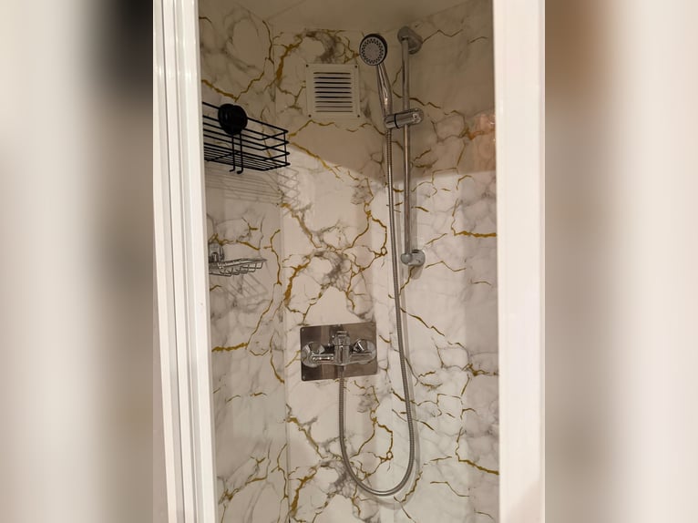 Przyczepa 4 konie + socjal