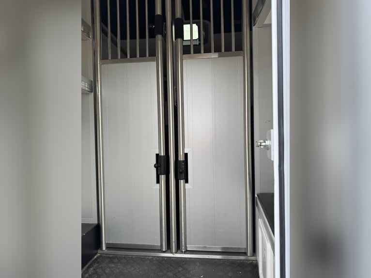 Renault JK furgone per trasporto cavalli, versione stallone!