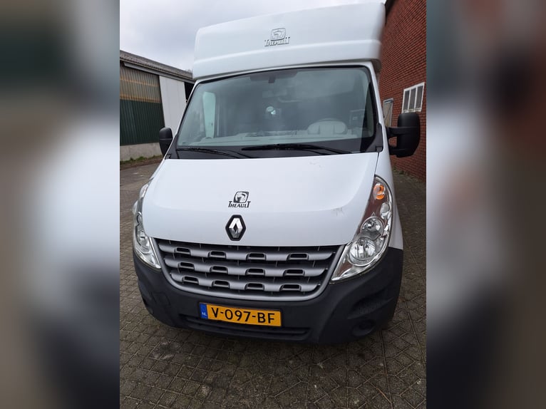 Renault Master Theault paardenwagen hengsten uitvoering