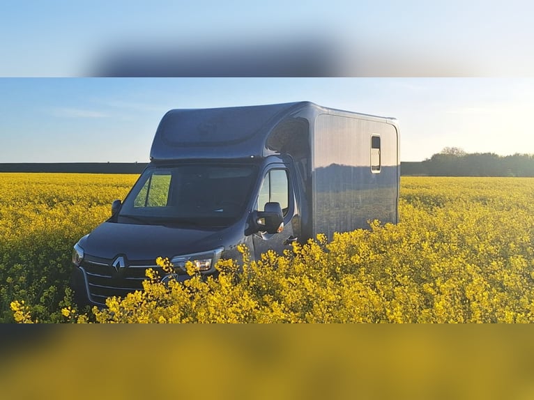 Renault Master Zwei-Pferdetransporter