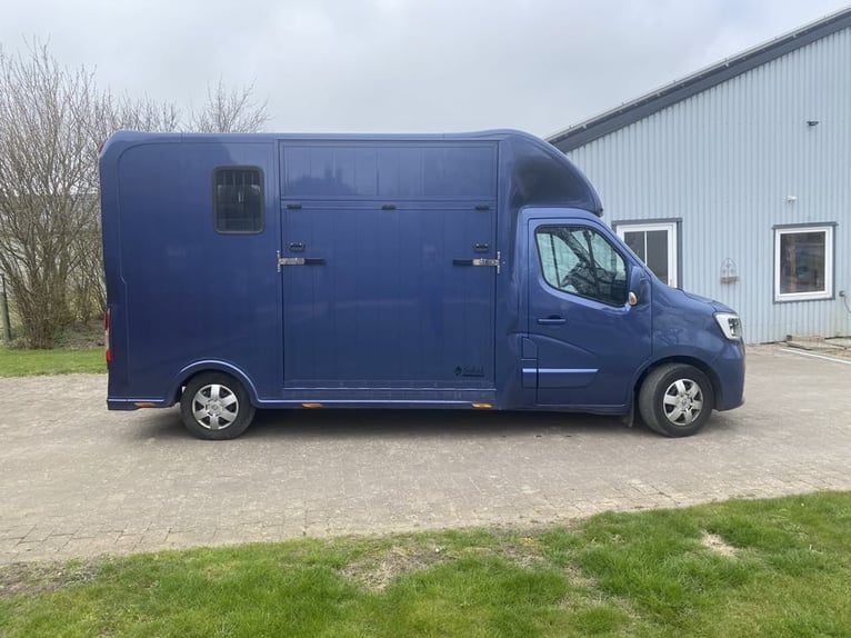 Renault Master Zwei-Pferdetransporter