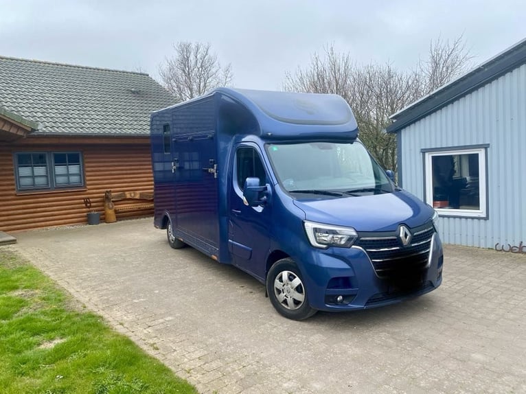 Renault Master Zwei-Pferdetransporter