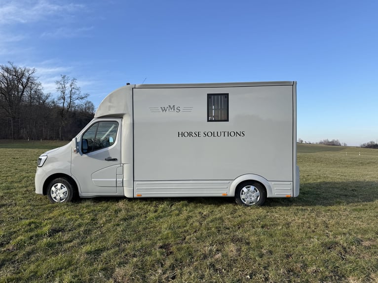 Renault Pferde-Sprinter – 2-Pferde