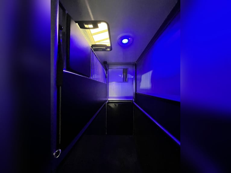 Roelofsen, Renault, Parados Sport, Top Zustand