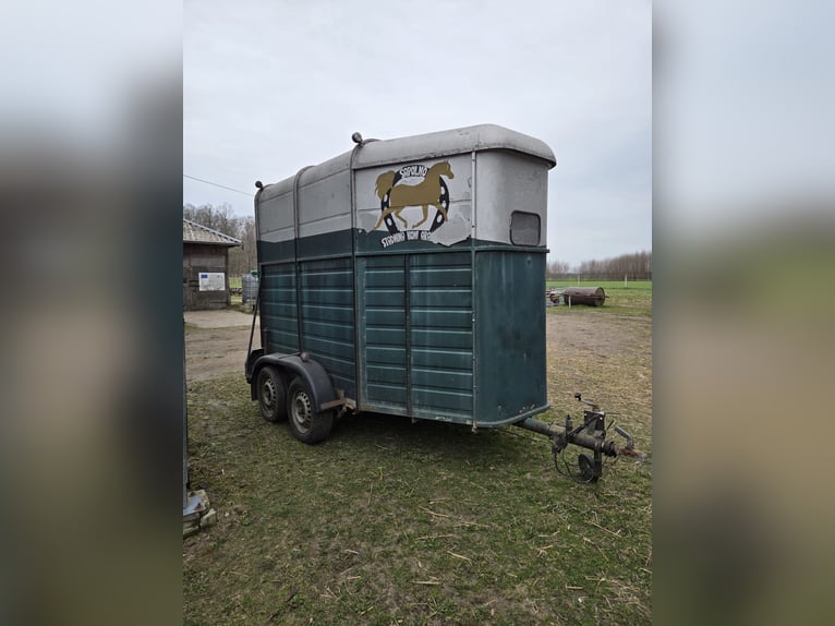 Carrozza per 2 cavalli in vendita