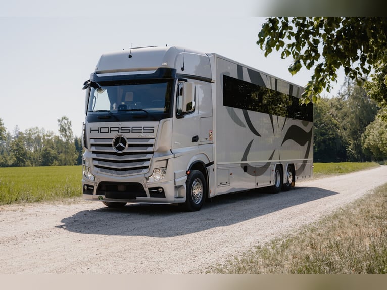 Mercedes-Benz Actros Professional Horse Truck