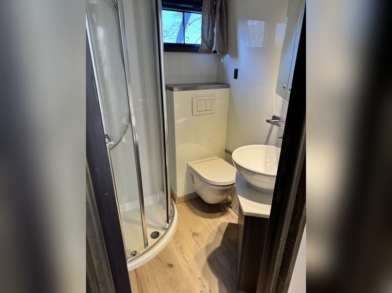 STX LKW Pferdewohnmobil Ivevo Stralis