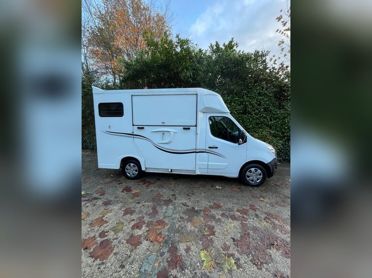 Trasportatore di cavalli Renault Ameline