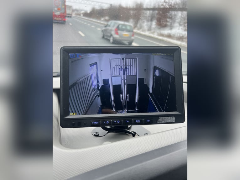 Trasportatore di cavalli Renault Primero - RISERVATO