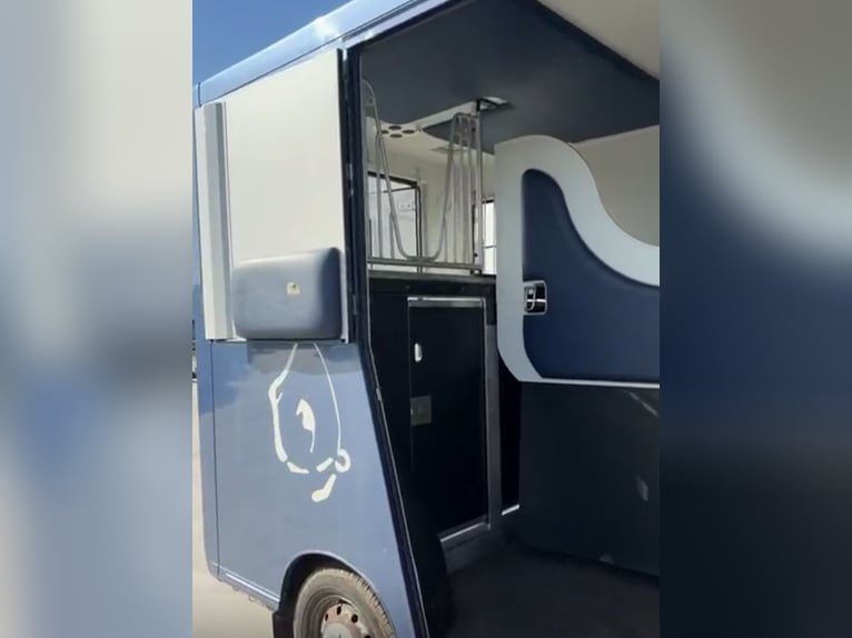 Trasportatore di cavalli Renault Theault