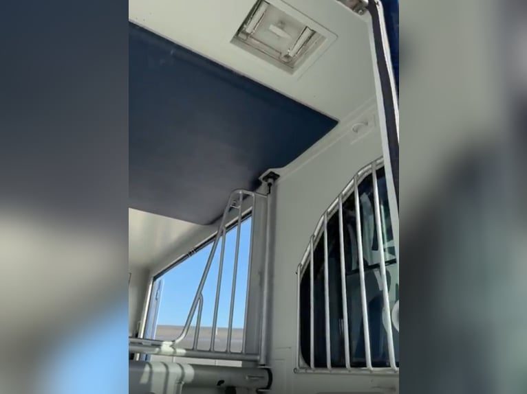 Trasportatore di cavalli Renault Theault