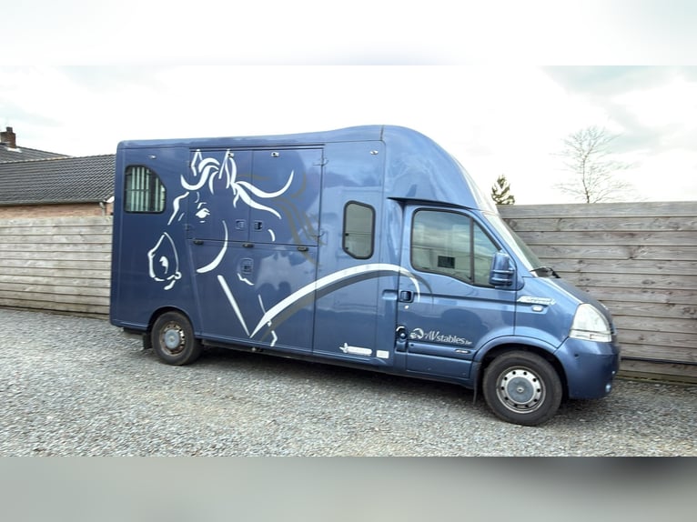 Trasportatore di cavalli Renault Theault