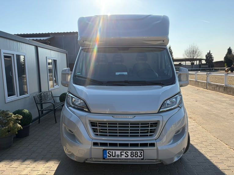 Trasportatore per cavalli usato in ottime condizioni