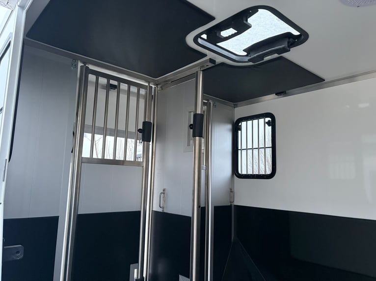 Trasportatore per cavalli usato in ottime condizioni