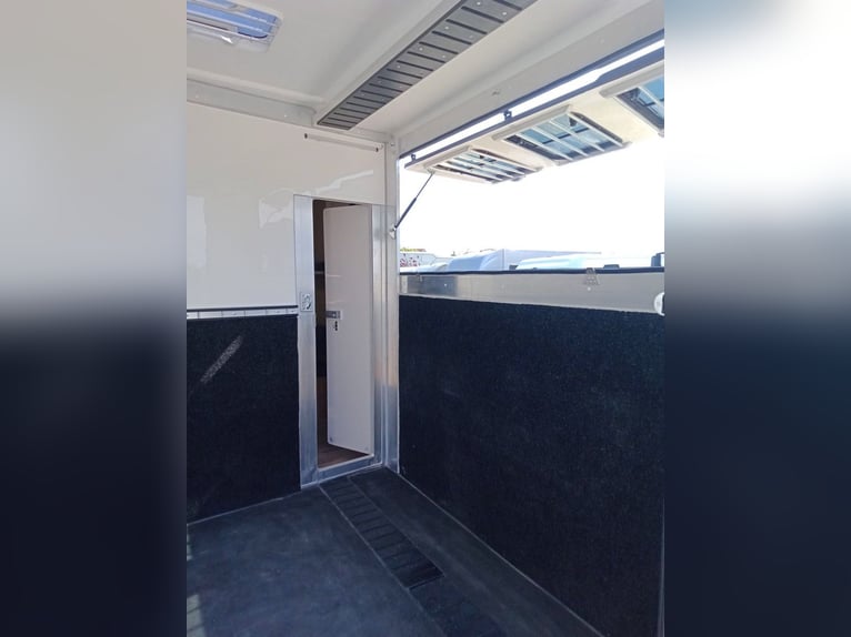 Trasporto cavalli DT Trailer per 2 cavalli con ampio alloggio, 3,5 tonnellate - riscaldamento - senz