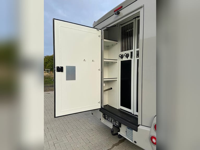 Trasporto cavalli Renault Master