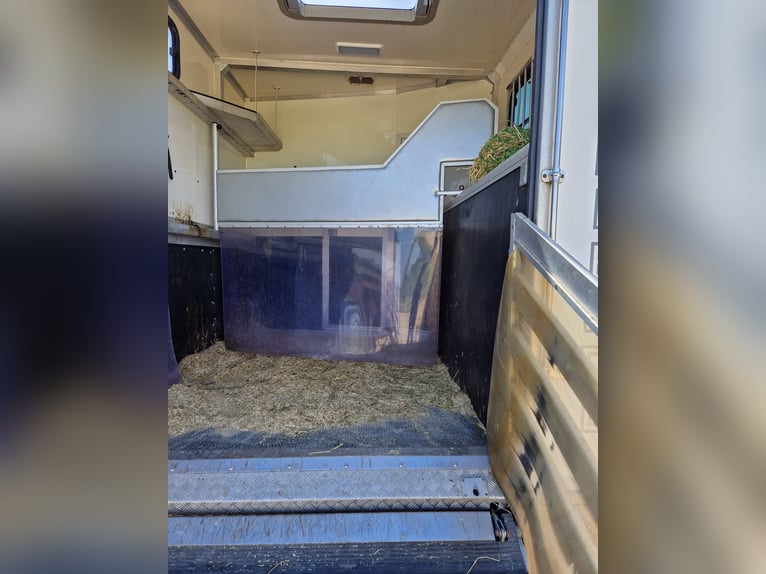 Camper per cavalli per 3 cavalli
