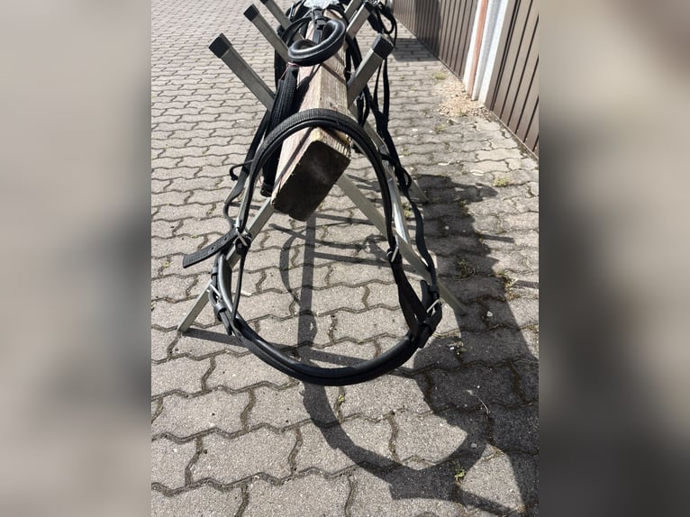 Harness for single harness driving with breastplate