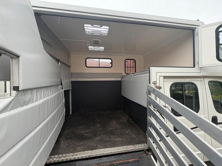 Trasporto per cavalli – 2 posti per cavalli, 7 posti a sedere