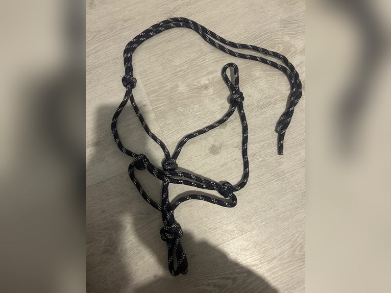 Knotenhalfter mit Seil 