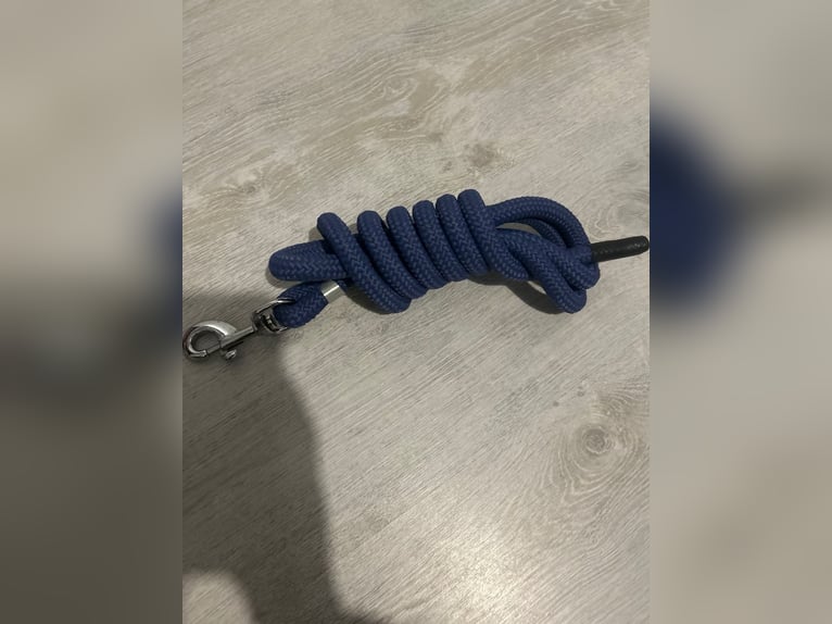 Knotenhalfter mit Seil 