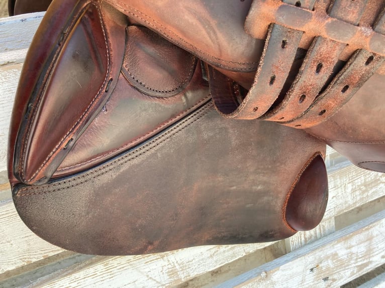 Bellissima Sella Action Horse Modello Decima anno 2023 colore marrone bordata misura 17.5