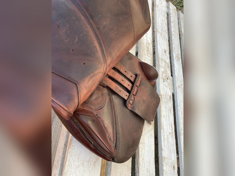 Bellissima Sella Action Horse Modello Decima anno 2023 colore marrone bordata misura 17.5