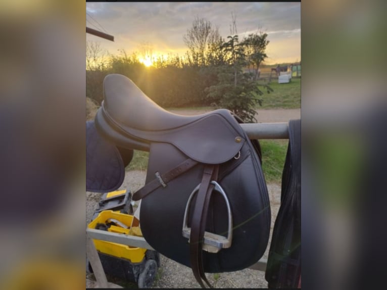 Sella da salto usata pochissimo 